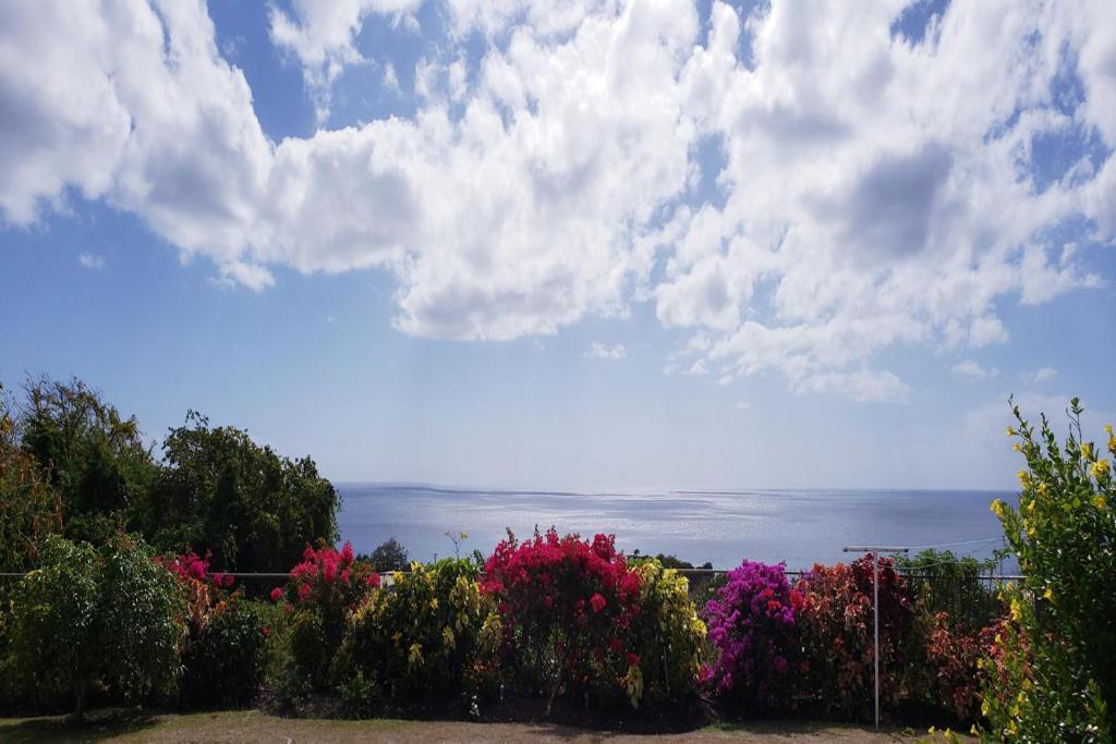 Appartement Spectacular Ocean View Retreat à Saint James Extérieur photo