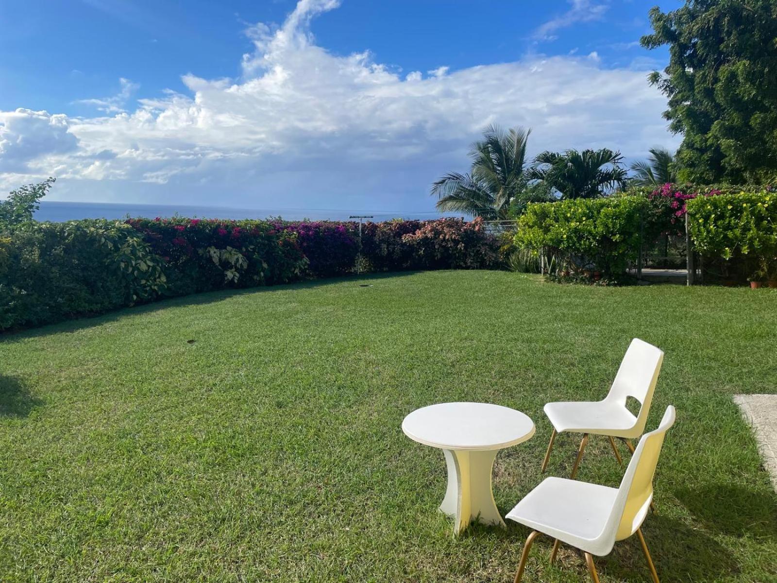 Appartement Spectacular Ocean View Retreat à Saint James Extérieur photo